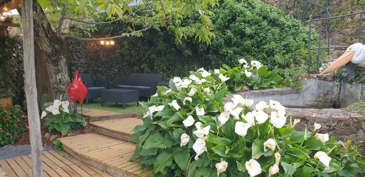Casa Belavista Penela - Charming Guest House - Adults Only ภายนอก รูปภาพ