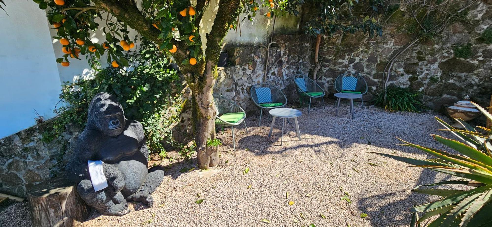 Casa Belavista Penela - Charming Guest House - Adults Only ภายนอก รูปภาพ